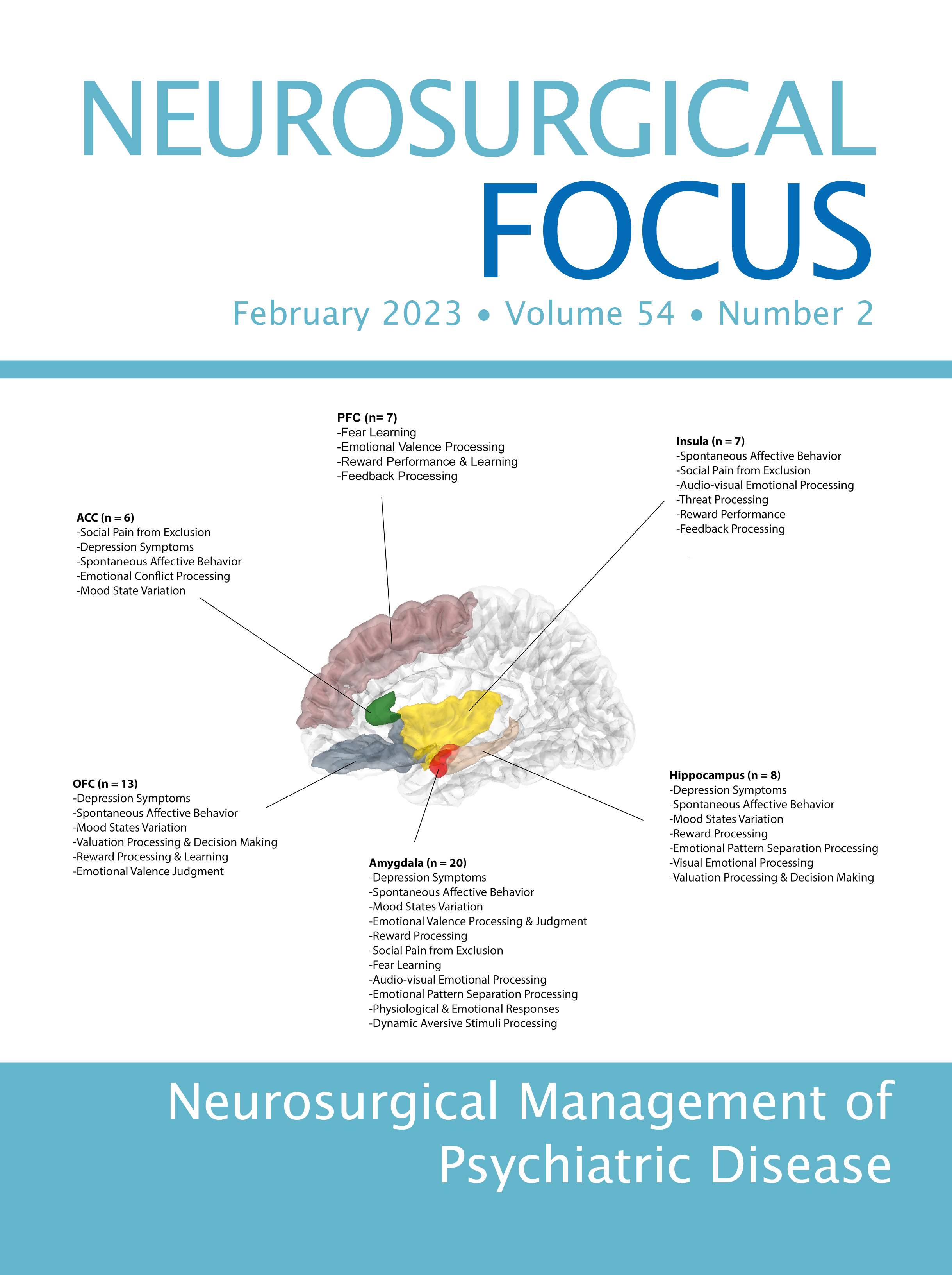 第54卷:第2期(2023年2月):精神疾病的神经外科管理
